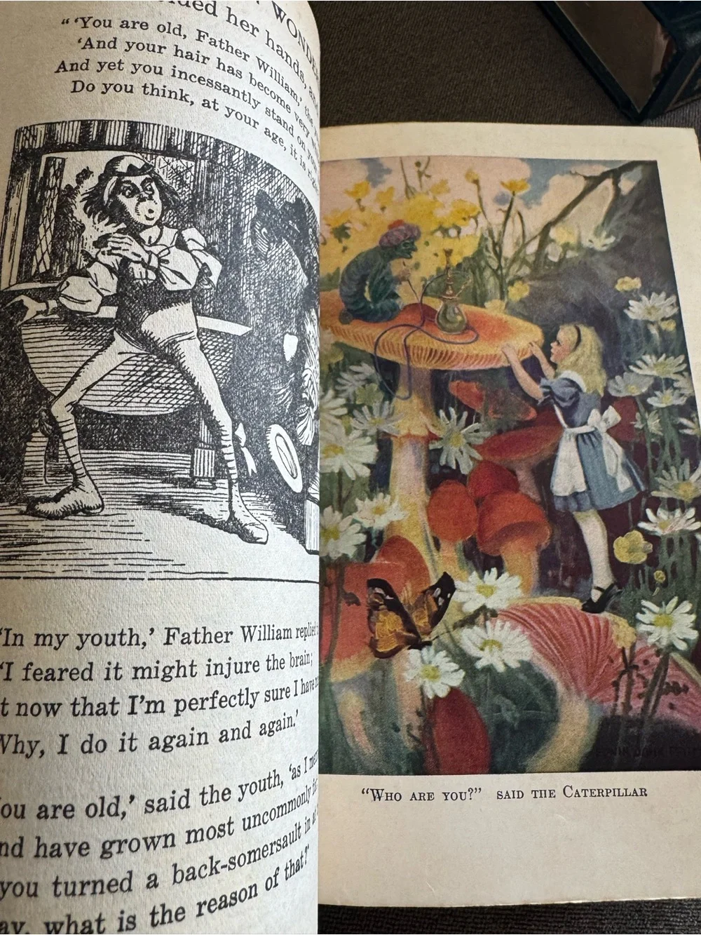 Alice's Adventures in Wonderland and Through the Looking-Glass - Classic Book